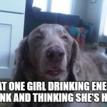 High Dog | THAT ONE GIRL DRINKING ENERGI DRINK AND THINKING SHE'S HIGH | image tagged in memes,high dog | made w/ Imgflip meme maker