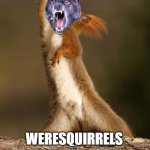Dancing Squirrel | BECAUSE 2020 WASN'T WEIRD ENOUGH. WERESQUIRRELS | image tagged in dancing squirrel | made w/ Imgflip meme maker