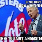Biden teamsters vote | IF YOU DON'T KNOW WHO TO VOTE FOR; THEN YOU AIN'T A HAMSTER | image tagged in biden teamsters vote | made w/ Imgflip meme maker