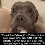 Save ALL K9 DOG JILLIAN LEANN QUIST JONES aka SLURPYDOGPUSSY