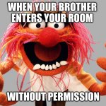 animal muppets | WHEN YOUR BROTHER 
ENTERS YOUR ROOM; WITHOUT PERMISSION | image tagged in animal muppets | made w/ Imgflip meme maker
