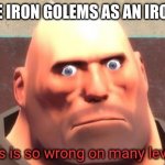 Just wrong | YOU USE IRON GOLEMS AS AN IRON FARM | image tagged in this is so wrong on many levels | made w/ Imgflip meme maker