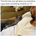 Cat giving funny look at owner