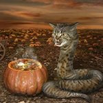 Snake cat cooking with a pumpkin