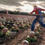 Weird stock photos 10 chasing streaker field head cabbage meme