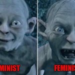 Feminism | FEMINIST; FEMINIST | image tagged in gollum good/bad | made w/ Imgflip meme maker