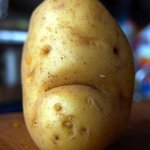 sad potato | LEAKED PICTURE OF GENDER NEUTRAL POTATO HEAD; WAIT WHAT? | image tagged in sad potato | made w/ Imgflip meme maker