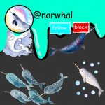 narwhal's temp meme