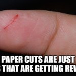 paper cut | PAPER CUTS ARE JUST TREES THAT ARE GETTING REVENGE. | image tagged in paper cut | made w/ Imgflip meme maker
