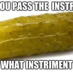 Pickle | CAN YOU PASS THE  INSTRMENT; WHAT INSTRIMENT | image tagged in pickle | made w/ Imgflip meme maker