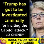 Liz Cheney Trump investigated