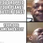 Nuuuu! | YOU DROPPED YOUR PEANUT BUTTER TOAST; YOUR DOG CAME AND ATE IT | image tagged in crying guy/devastated guy | made w/ Imgflip meme maker