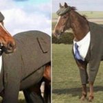horse in a suit