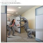 Woman office worker to wrestle alligator