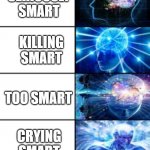 When you smaert | MIRACULOUSLY DUMB; VERY DUMB; DUMB; AVERAGE; SMART; VERY SMART; EXTREMELY SMART; SERIOUSLY SMART; KILLING SMART; TOO SMART; CRYING SMART; IMPOSSIBLE SMART; DEMON SMART; LIGHT SMART; SMARTNESS DOESN'T EXIST; EARTH DIES WITHOUT SMARTNESS; NEW SMARTNESS EXIST; GOD SMART | image tagged in expanding brain longest version | made w/ Imgflip meme maker