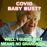 COVID Baby Bust? Well. I Guess That Means No Grandkids. | COVID BABY BUST? WELL. I GUESS THAT MEANS NO GRANDKIDS. | image tagged in grandma | made w/ Imgflip meme maker