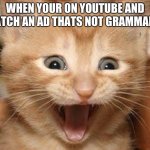 Excited Cat | WHEN YOUR ON YOUTUBE AND WATCH AN AD THATS NOT GRAMMARLY | image tagged in memes,excited cat | made w/ Imgflip meme maker