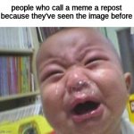 ppl these days are stupid | people who call a meme a repost because they've seen the image before | image tagged in funny crying baby | made w/ Imgflip meme maker