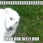 can we get this to the front page | EEEEEEEEEEEEEEEEEEEEEEEEEEEEEEEE; I RUB BUB BELLY BUB | image tagged in one happy doggo | made w/ Imgflip meme maker