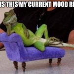 wth why is this a mood | WHY IS THIS MY CURRENT MOOD RN THO | image tagged in memes,sassy iguana | made w/ Imgflip meme maker