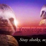 Sloth knowledge is power stay slothy my friends meme