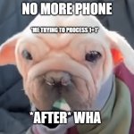 baby yoda dog | NO MORE PHONE; *ME TRYING TO PROCESS 1+1*; *AFTER* WHA | image tagged in baby yoda dog | made w/ Imgflip meme maker