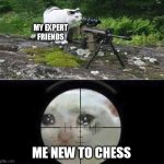 Chess is a difficult game... | MY EXPERT FRIENDS; ME NEW TO CHESS | image tagged in sniper cat aim crying cat,chess,gaming,friends,friend | made w/ Imgflip meme maker