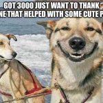 Original Stoner Dog | GOT 3000 JUST WANT TO THANK EVERYONE THAT HELPED WITH SOME CUTE PUPPERS | image tagged in memes,original stoner dog | made w/ Imgflip meme maker