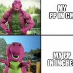 strong man | MY PP IN CM; MY PP IN INCHES | image tagged in barny strong/weak | made w/ Imgflip meme maker