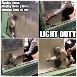 Cat getting dragged from window | Staying home, playing video games, drinking beer all day; LIGHT DUTY | image tagged in cat getting dragged from window | made w/ Imgflip meme maker
