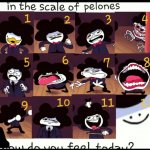 On a scale of pelones how do you feel today meme