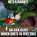 White Rabbit Alice in "onderland | HE’S A RABBIT; GO ASK ALICE
WHEN SHE’S 10 FEET TALL | image tagged in white rabbit alice in onderland | made w/ Imgflip meme maker