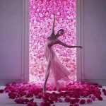 Ballerina pink flowers