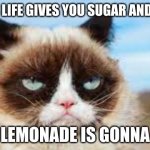 Grumpy Cat's Lemonade | UNLESS LIFE GIVES YOU SUGAR AND WATER; YOUR LEMONADE IS GONNA SUCK | image tagged in grumpy cat,lemonade,when life gives you lemons | made w/ Imgflip meme maker