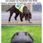 Woof | This dog is trained to sniff out people on Facebook who think they're awesome in bed but yeah not really | image tagged in this dog can smell you | made w/ Imgflip meme maker