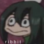 ribbit meme