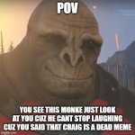 craig | POV; YOU SEE THIS MONKE JUST LOOK AT YOU CUZ HE CANT STOP LAUGHING CUZ YOU SAID THAT CRAIG IS A DEAD MEME | image tagged in craig | made w/ Imgflip meme maker