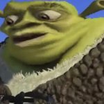 Shrek worried meme
