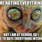 x-x | ME HATING EVERYTHING; BUT I AM AT SCHOOL SO I HAVE TO HATE EVERYTHING INTERNALLY | image tagged in no sleep for lemur | made w/ Imgflip meme maker