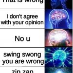 Fun | That is wrong; I don't agree with your opinion; No u; swing swong  you are wrong; zip zap shut your crap | image tagged in brain expanding meme | made w/ Imgflip meme maker