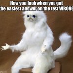 Persian white monkey | How you look when you got the easiest answer on the test WRONG | image tagged in persian white monkey | made w/ Imgflip meme maker