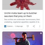 Urchin Mobs Ash News Duo meme