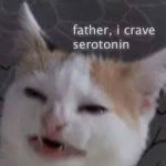 Crave Serotonin
