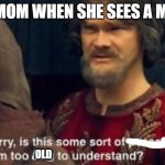 hehe | MY MOM WHEN SHE SEES A MEME; OLD | image tagged in is this a joke i'm too stupid to understand | made w/ Imgflip meme maker