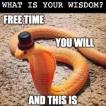 AI snek for summertime | AI OF THE FLIP, 
WHAT IS YOUR WISDOM? FREE TIME; YOU WILL; AND THIS IS HOW YOU SPEND IT | image tagged in dapper snek,ai meme,wisdom,words of wisdom,snake,summer | made w/ Imgflip meme maker