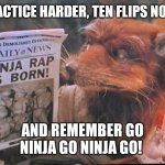 Splinter ninja turtles | PRACTICE HARDER, TEN FLIPS NOW! AND REMEMBER GO NINJA GO NINJA GO! | image tagged in splinter,ninja turtles | made w/ Imgflip meme maker