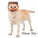 Steve The Dog
