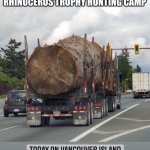 Illegal tree harvesting | 500 YEAR OLD TREE CUT DOWN TO MAKE ROOM FOR A RHINOCEROS TROPHY HUNTING CAMP | image tagged in old spruce tree | made w/ Imgflip meme maker