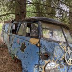 Tree in a VW Bus