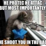Sniper cat | HE PROTEC HE ATTAC BUT MOST IMPORTANTLY; HE SHOOT YOU IN THE BAC | image tagged in catsniper,cat,he protec he attac but most importantly,guns | made w/ Imgflip meme maker